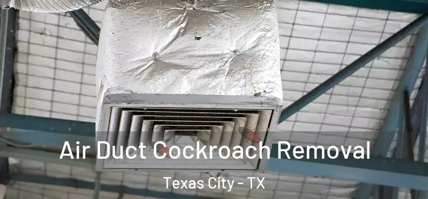 Air Duct Cockroach Removal Texas City - TX