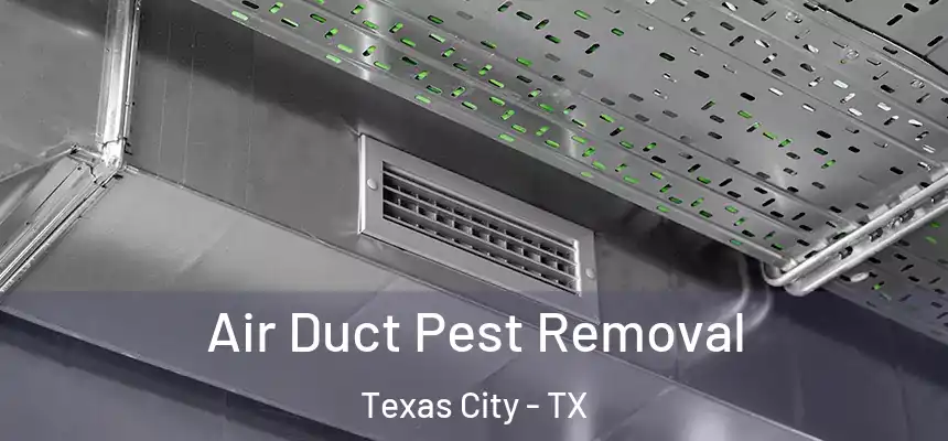 Air Duct Pest Removal Texas City - TX