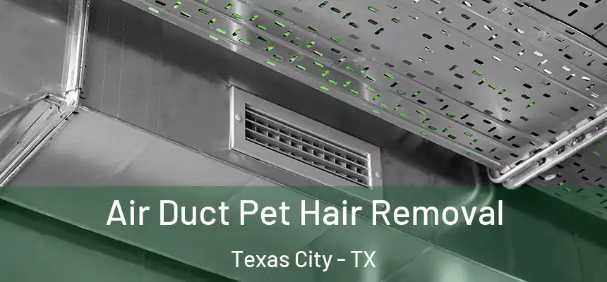  Air Duct Pet Hair Removal Texas City - TX