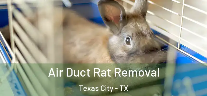 Air Duct Rat Removal Texas City - TX