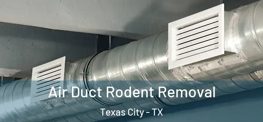  Air Duct Rodent Removal Texas City - TX