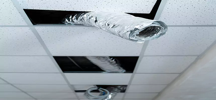 Our Air Duct Pet Hair Removal Services in Texas City, TX