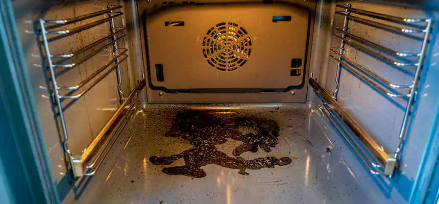 Our Dryer Vent Mold Cleaning Services in Texas City, TX