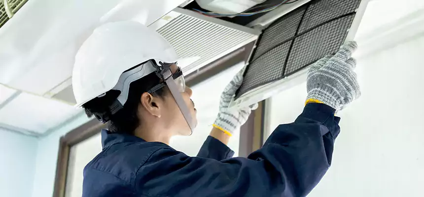 Our Mold & Mildew Removal from Air Ducts Services in Texas City, TX