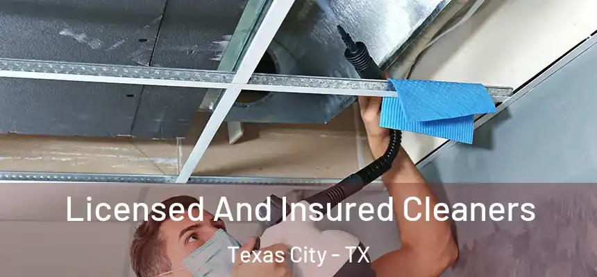 Licensed And Insured Cleaners Texas City - TX
