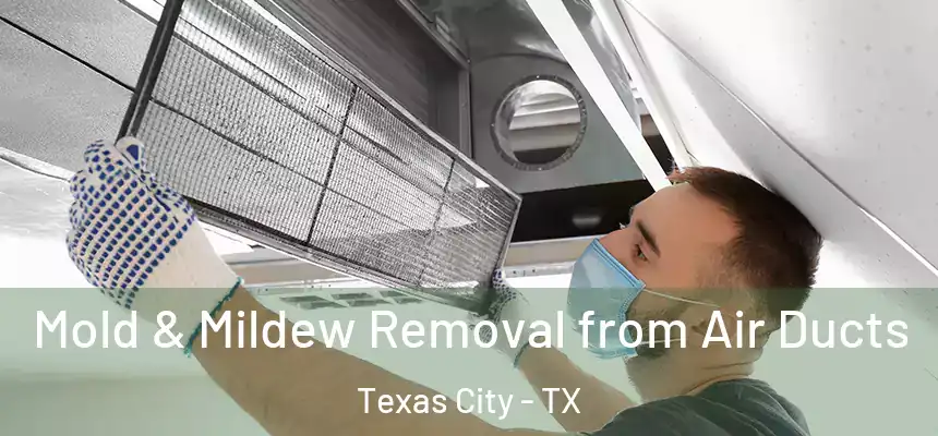 Mold & Mildew Removal from Air Ducts Texas City - TX