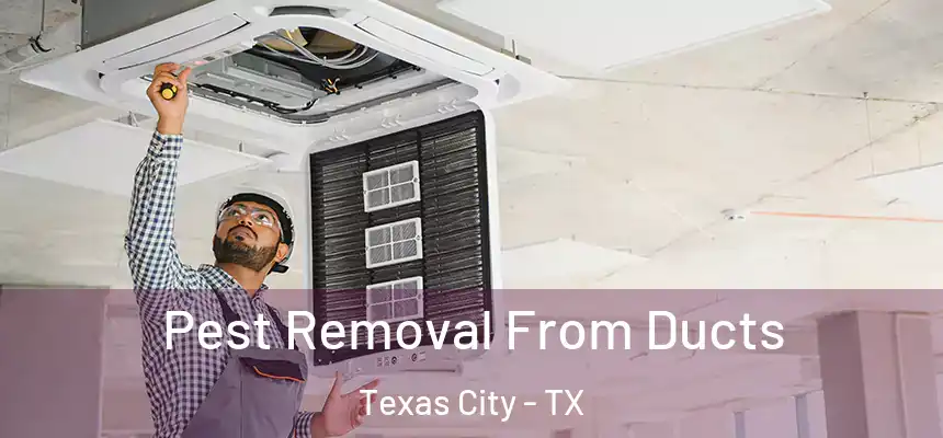 Pest Removal From Ducts Texas City - TX