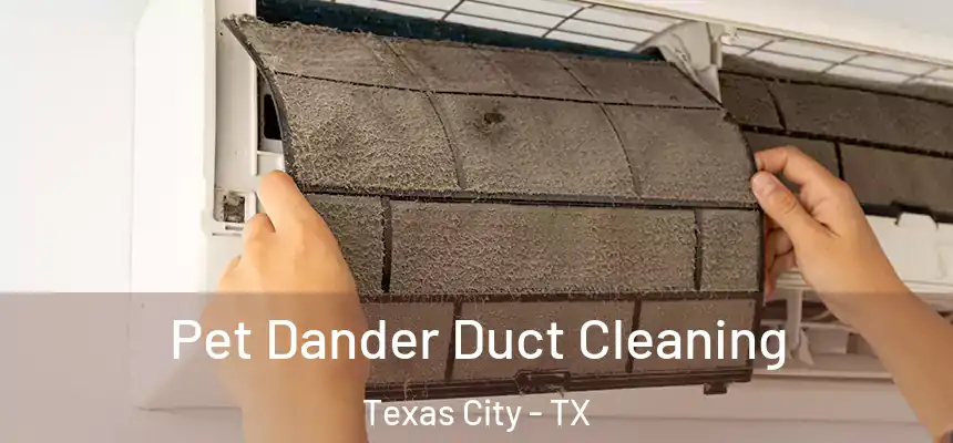 Pet Dander Duct Cleaning Texas City - TX