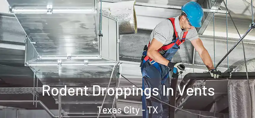  Rodent Droppings In Vents Texas City - TX