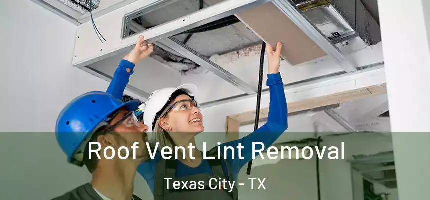  Roof Vent Lint Removal Texas City - TX