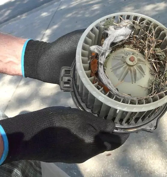 About Air Duct Rat Removal in Texas City, TX