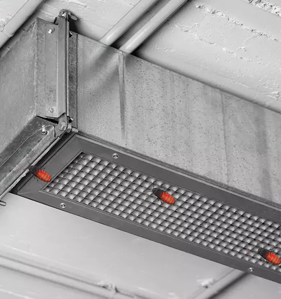 Affordable Insect Removal from Air Ducts in Texas City, TX