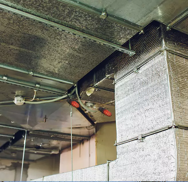 Why Homeowners & Businesses Trust Us in Texas City, TX?