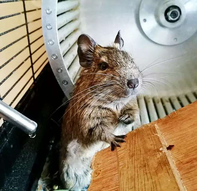 Why Homeowners & Businesses Trust Us Texas City, TX