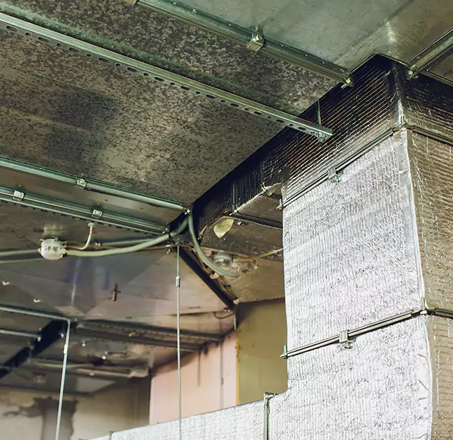 Why Homeowners & Businesses Trust Us in Texas City, TX?